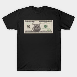 One hundred catdollars T-Shirt